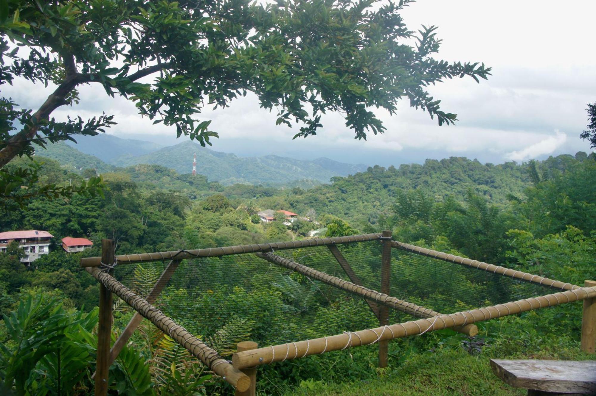 Hostal Vista Verde Minca Exterior foto